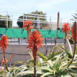 EDAR Arrecife II EDAR Arrecife II