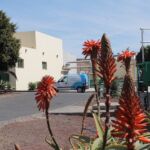 EDAR Arrecife II EDAR Arrecife II